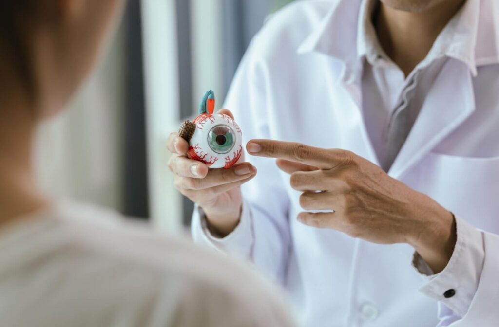 Optometrist showing a model of the eye to a patient while explaining glaucoma.